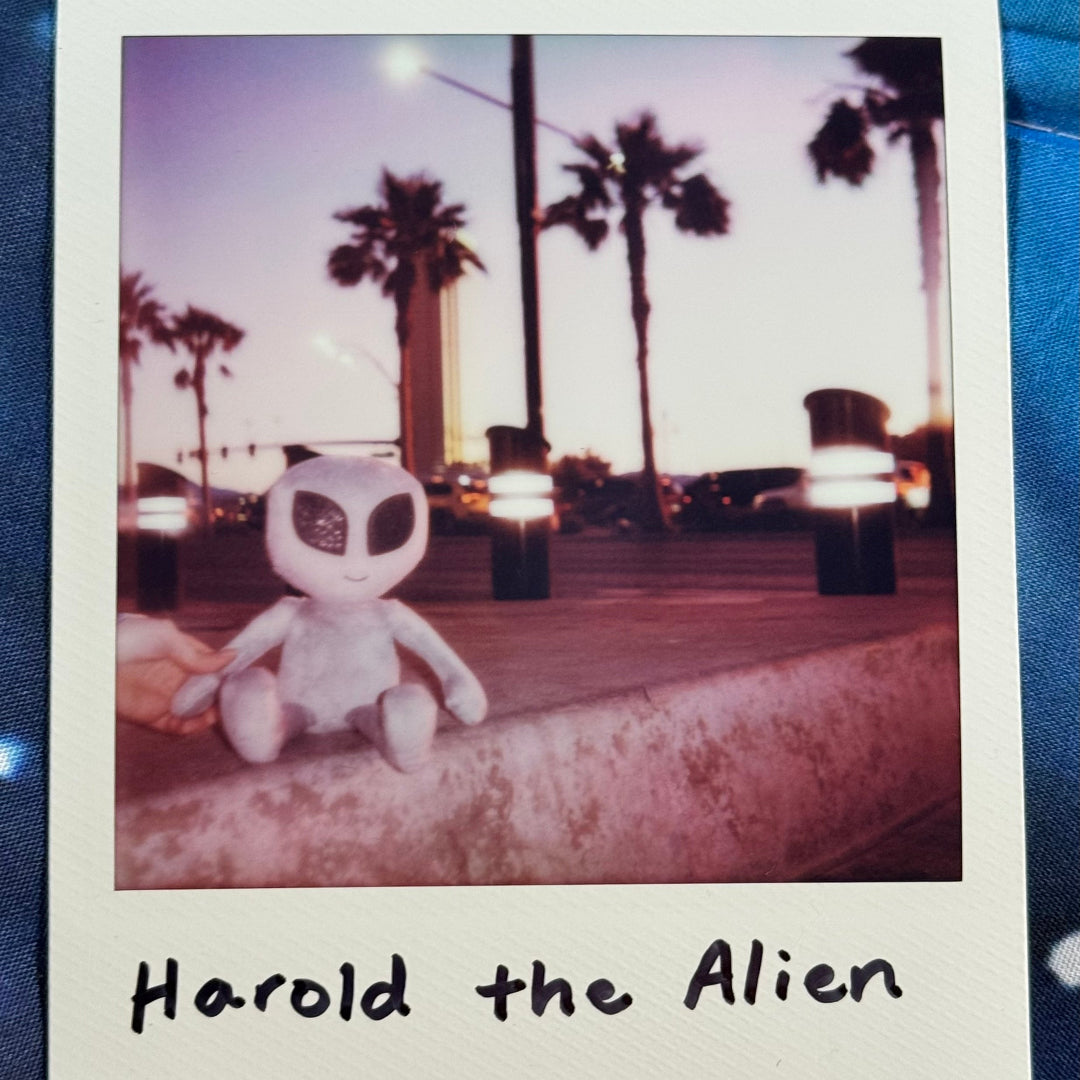 Polaroid-style photo of a toy alien named 'Harold the Alien' with palm trees and streetlights in the background.